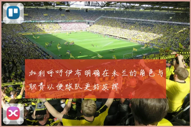 加利呼吁伊布明确在米兰的角色与职责以便球队更好发挥